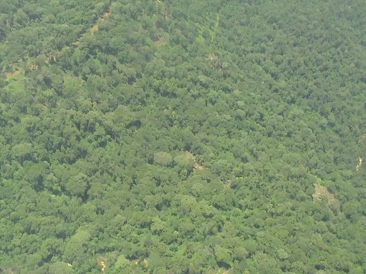 tukwa2's tweet photo. #saveourplanet🌿 
#ClimateEmergency 
#saveMauForest🌳🌳🌳🌳 
@Environment_Ke 
@magicalkenya 
@UNEP https://t.co/PMuDOYG71P