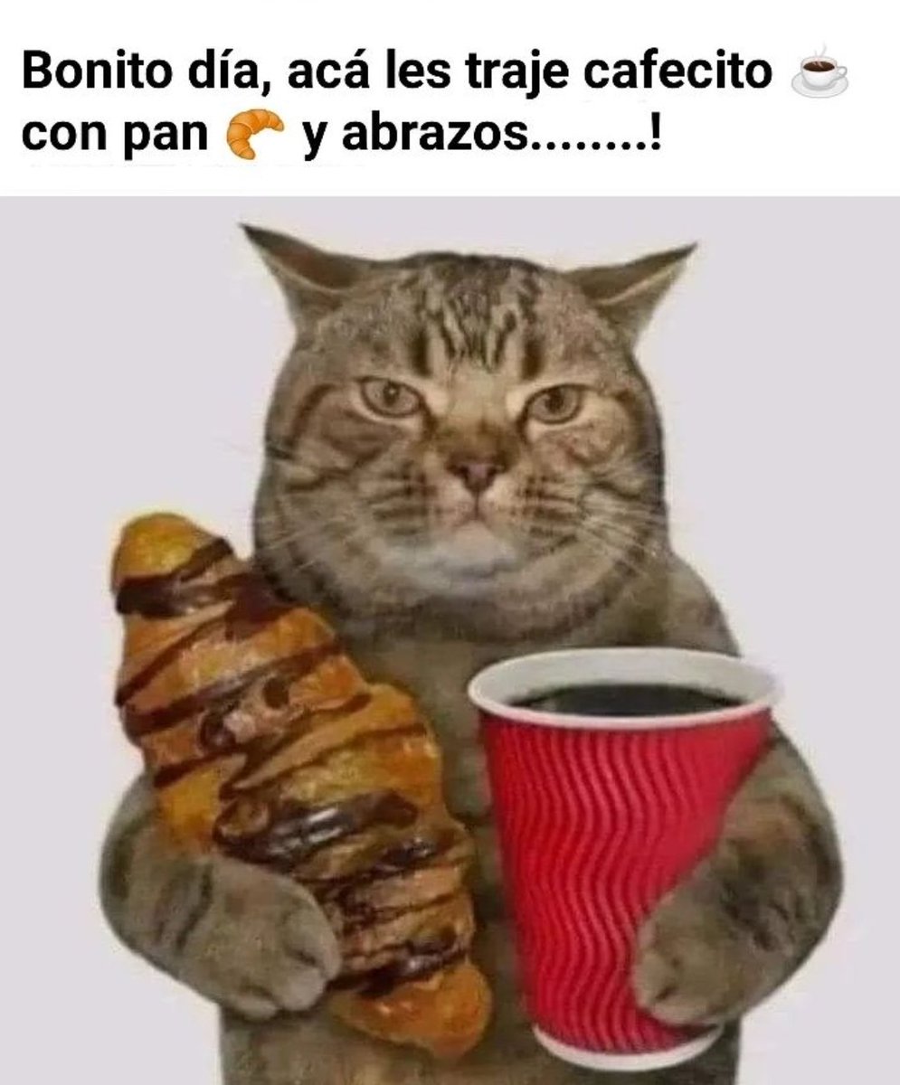 Les deseo un gran día 🌄
Es la hora del café ☕☕🌹 saludos