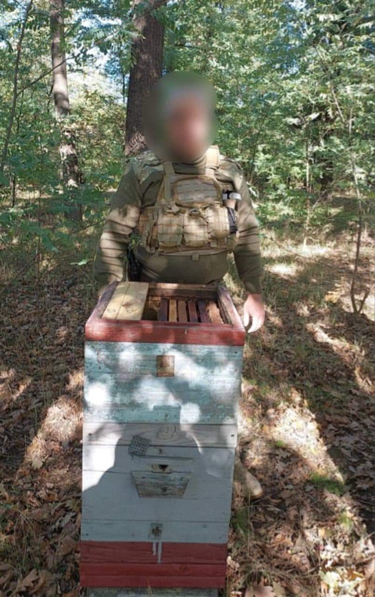 The New Voice of Ukraine tweet media