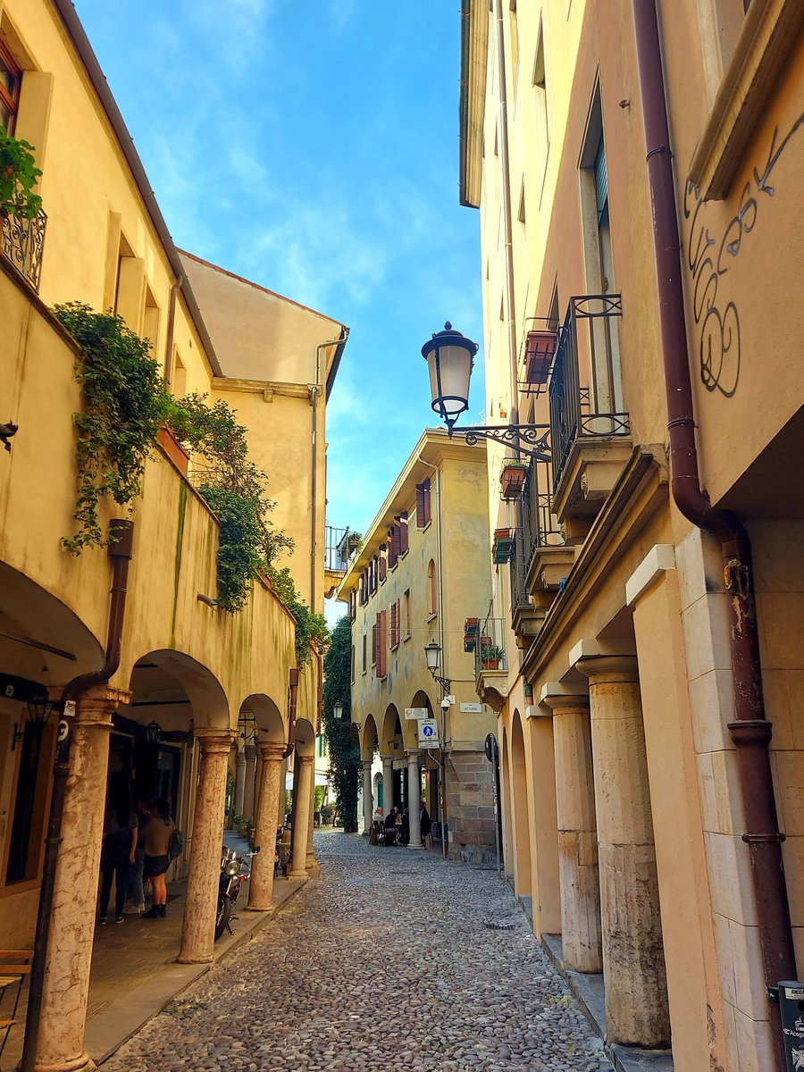 BarbaraPivaPsic's tweet photo. Palazzo Bo, caffè con menta del Pedrocchi, quartiere ebraico. 
Padova https://t.co/F3f28cvA2v