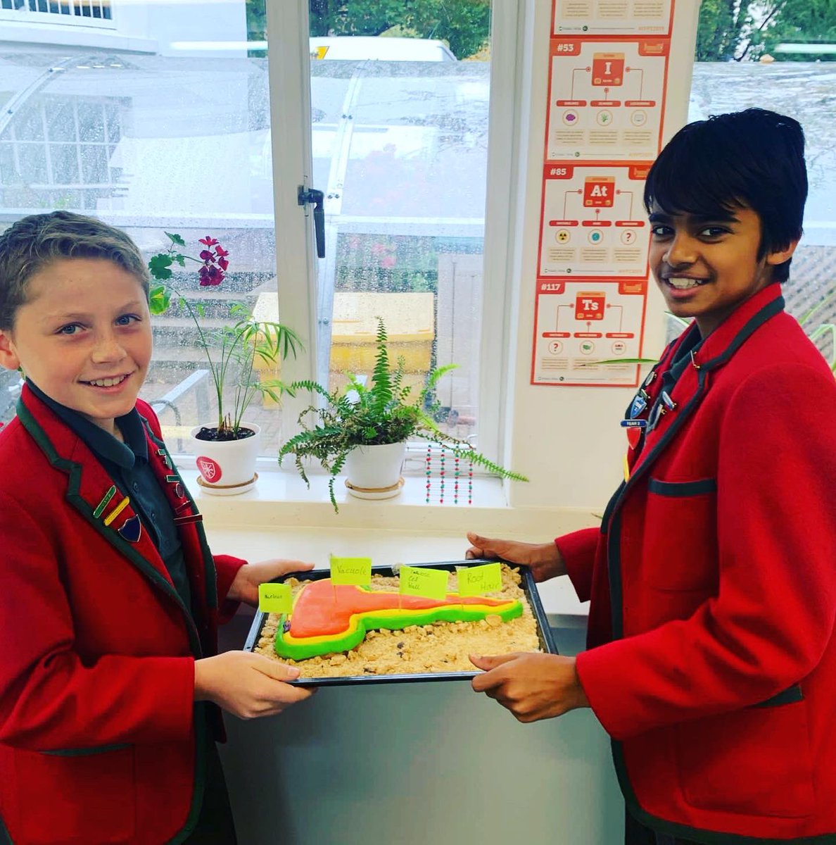 ArnoldHouseSch's tweet photo. Year 7 have been working on their specialised cell projects over the last week, producing some brilliant models which they presented to the rest of the class! #year7scienceproject #sciencemodels #prepschoolscience #arnoldhouseschool https://t.co/49PsXm4UIb