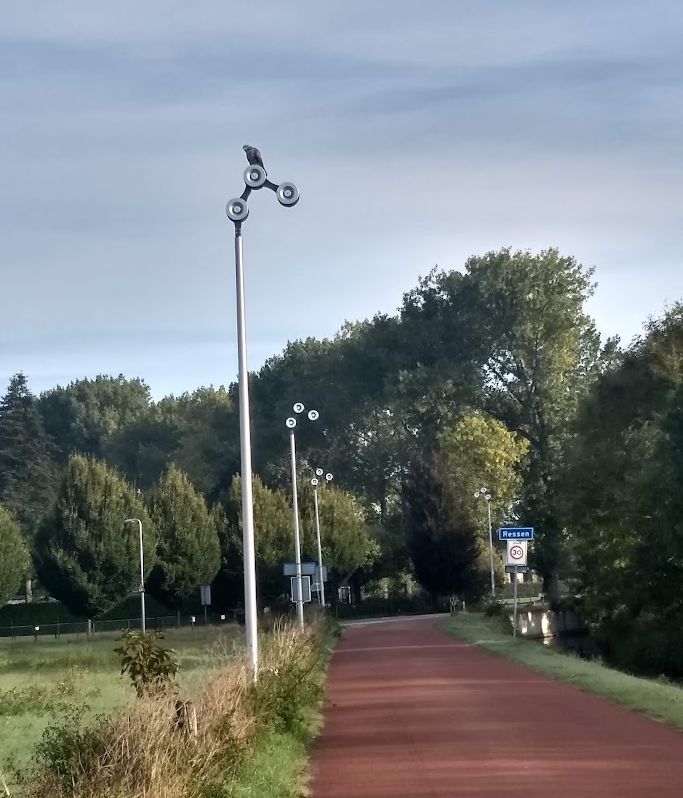 chrmys's tweet photo. ....op doortocht door Ressen Suzanne,   hier misschien deze buizerd ook gezien ?,  op lantaarnpaal @snelfietsroute @parklingezegen https://t.co/x516o2JmsW
