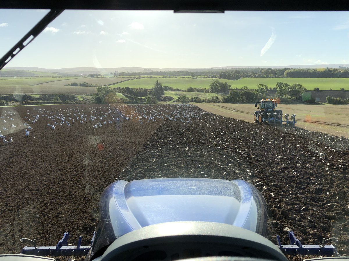 KWS UK Ltd tweet media