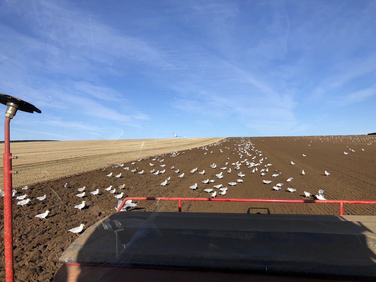 KWS UK Ltd tweet media