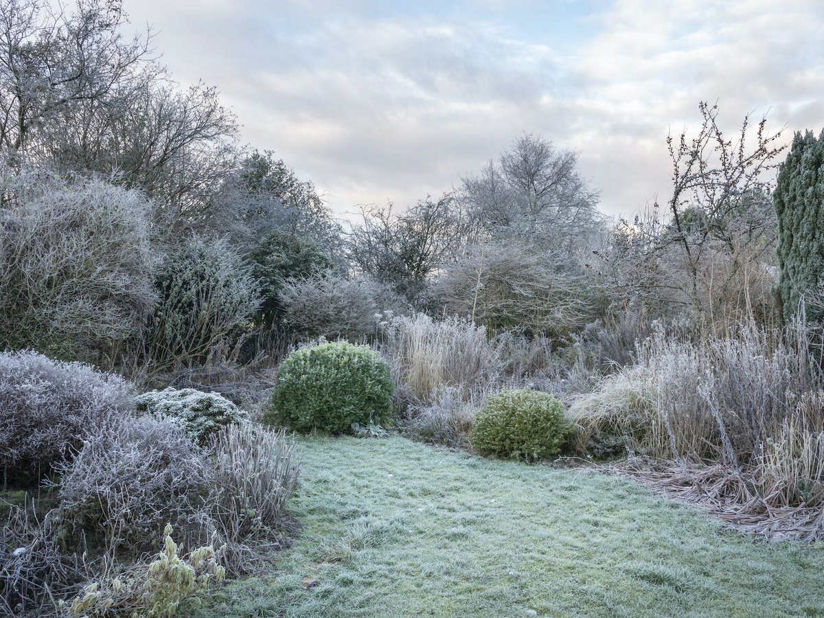 PegdevLtd's tweet image. A job for your garden this weekend -Sharpen up your hedges. Make sure that you trim your hedges so that they are crisp and tidy for the winter months. Sharp edges will look very impressive when coated in frost in winter. #hedge #hedgetrim

theenglishgarden.co.uk/expert-advice/…