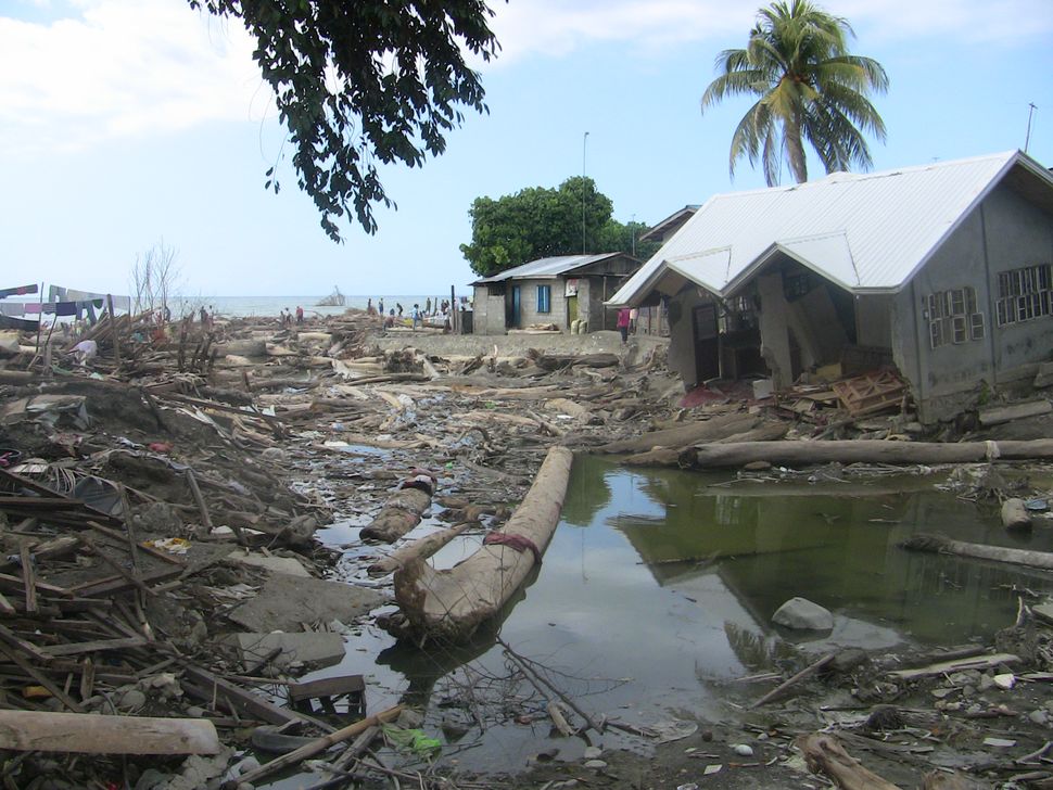 🌏Aujourd’hui, 13 octobre 2022, c’est la Journée internationale de prévention des #catastrophes, occasion de vous rappeler les activités du réseau #RePR animé par <a href="/CAREfrance/">CARE France</a> <a href="/CroixRouge/">Croix-Rouge fr</a>  <a href="/Solidarites_Int/">SOLIDARITÉS INTERNATIONAL</a> <a href="/HI_france/">Handicap International France</a> 1 <a href="/GroupeURD/">Groupe URD</a> 
👉bit.ly/3CNjKR9