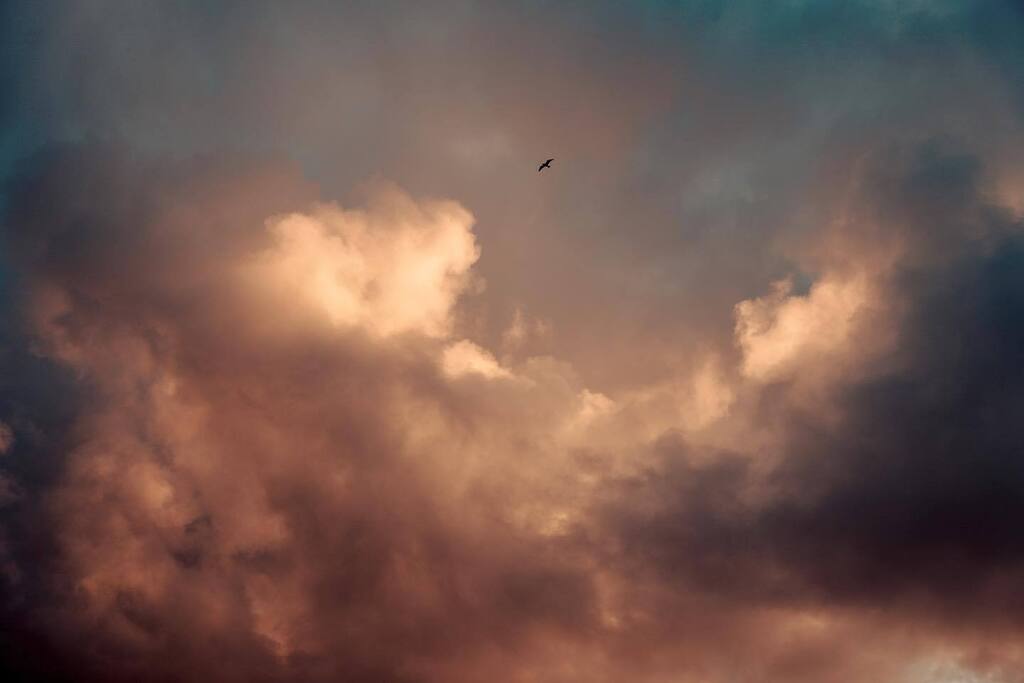 SeafieldStreet's tweet image. Cloudy (with bird)
12.10.22

#viewfromawindow #whitehills #scotland #aberdeenshire #northeast #autumn #sky #sunset #clouds #cloudphotography #cloudlovers #birds #Theaberdeenphotographers #leica #leicacamera #varioelmarit #elmarit #leicasl #minimalism #mi… instagr.am/p/Cjpcg52IMnP/