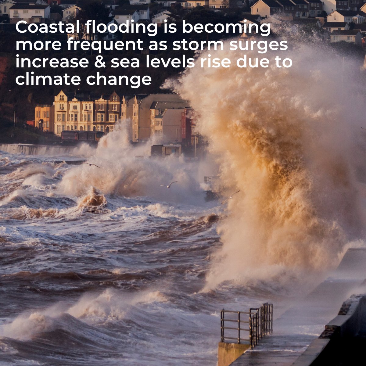 CLS Land & Hydrology tweet media