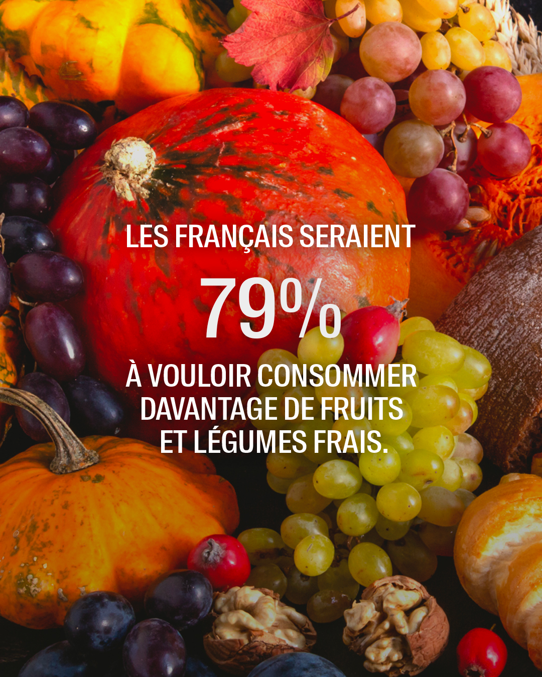 Les Fruits et Légumes Frais (@FruitsLegumesFR) / X
