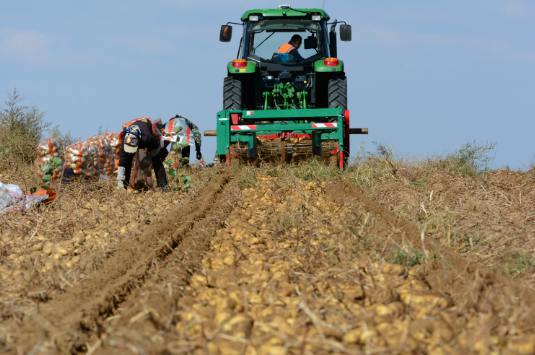 OrdosChina's tweet photo. Dalad Banner, an important granary for #Ordos city, is currently in the middle of its #harvest season. Click on the photos below to take a look at some of the colorful autumn sights to be seen there! #BeautifulOrdos https://t.co/CAdEiruEim