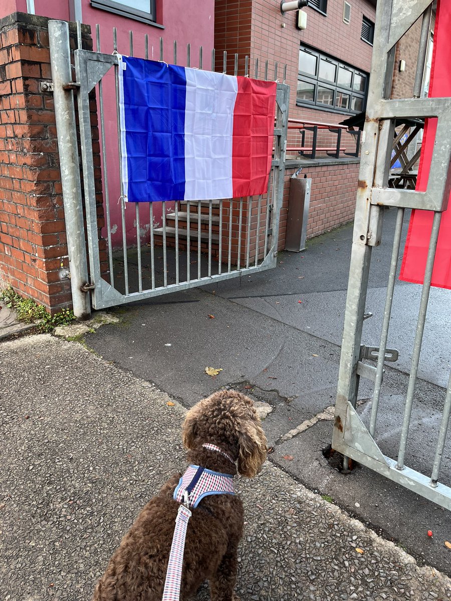 marlboroughpri's tweet photo. Bonjour et bienvenue 🇫🇷 #French #MFL https://t.co/eq61YtONZh