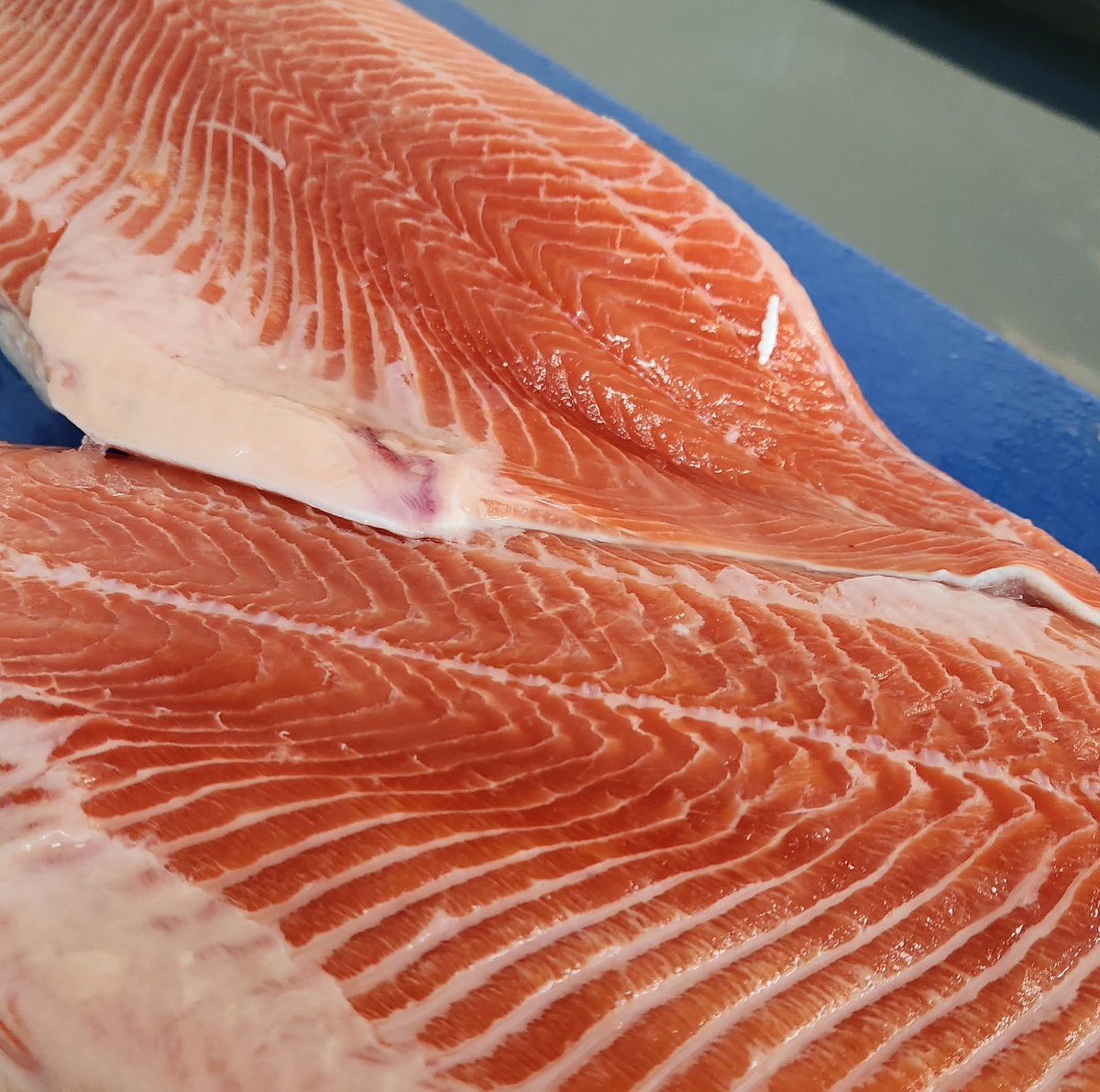 MarrfishD's tweet photo. Glorious sea reared trout.
-
https://t.co/0E0t85uXne
-
01279 501051
-
#seafood #wholesaler #fishermen #chef #freshproduce #restaurant #restaurants #foodporn #fish #fishmonger #sustainablefish #restaurantsupplies #toprlondonestaurants #sustainable #ukhotels #pubs #fishisthedish https://t.co/ChsHf36fJC