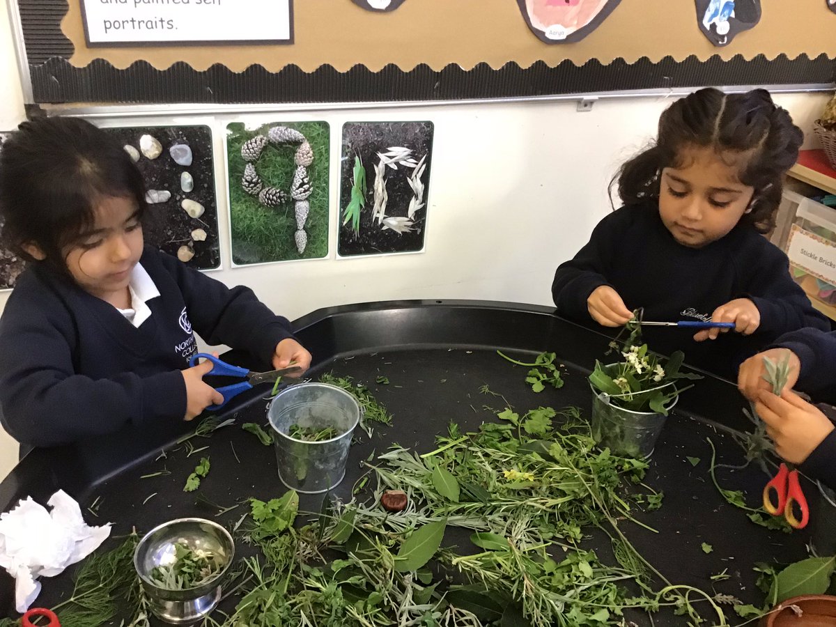 A classroom full of wonderful scents from our herbal tuff tray. Great to see fine motor and social skills developing. @NWC_Juniors @NorthwoodGDST #senseofsmell🌿🪴