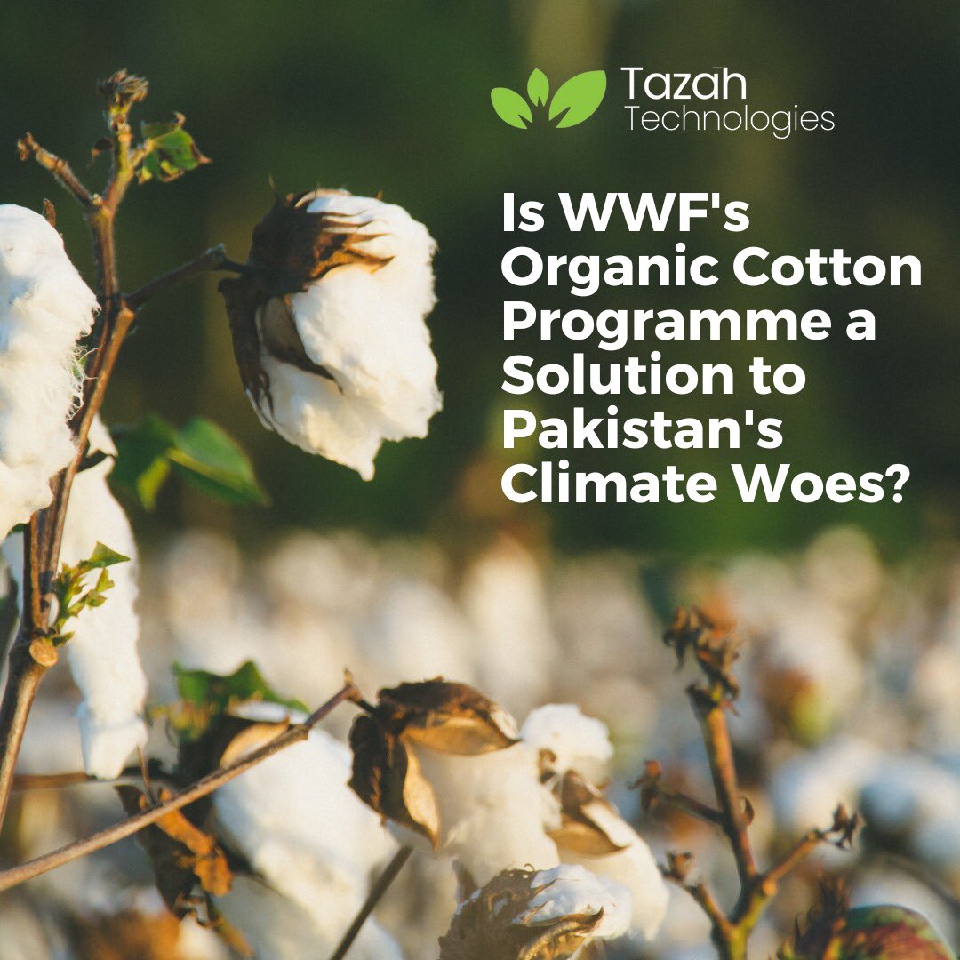 Tazahtech's tweet photo. WWF’s Organic Cotton Programme is helping farmers in Balochistan to better their livelihood, environment &amp; economy - tackling climate change issues

With 2800 farmers onboarded,  training is given on how to cultivate organic cotton on EU &amp; USDA-NOP certifications https://t.co/XtcrxXBUvU