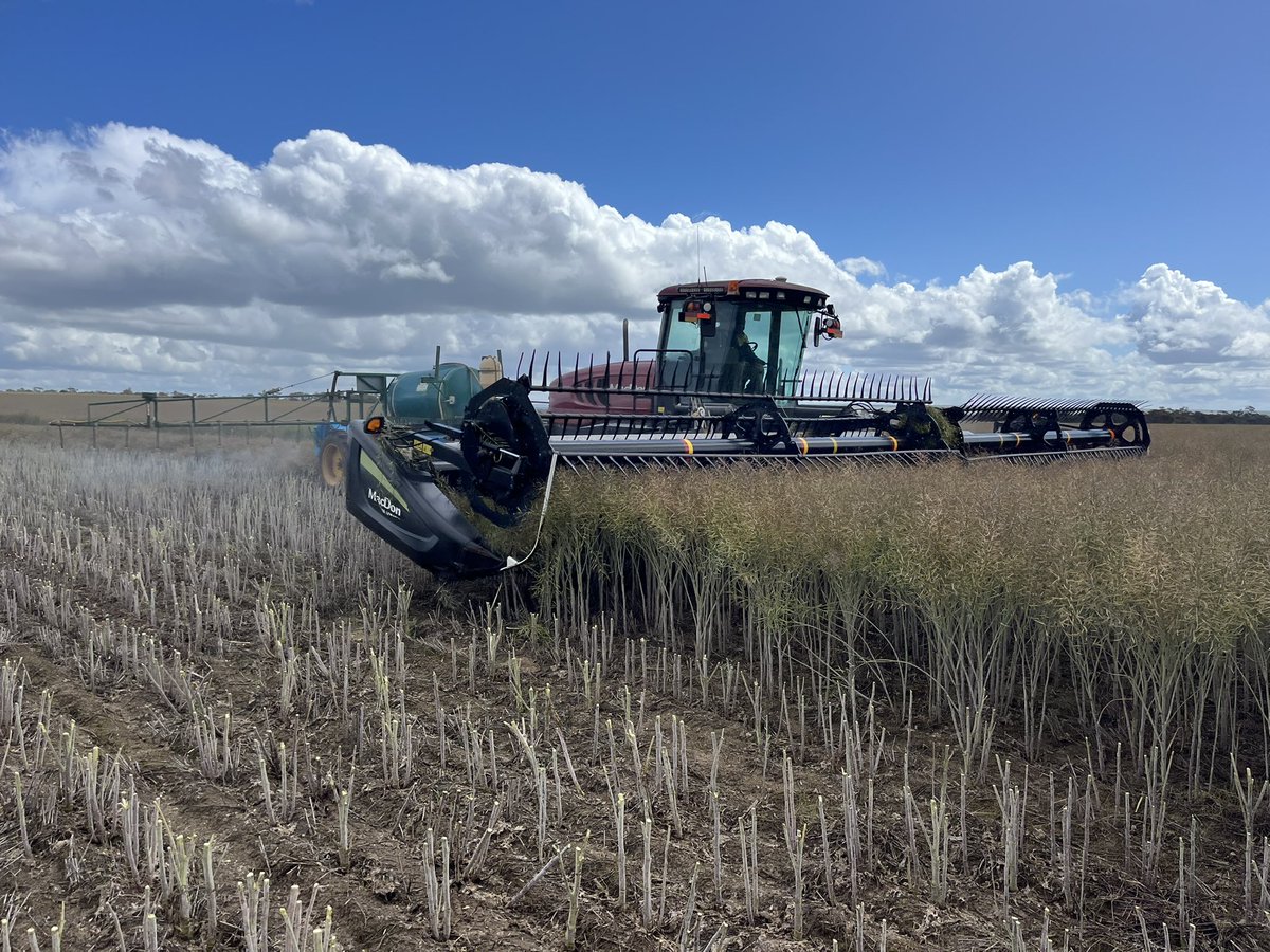 What comb trailers is everyone running on there windrower set up? Looking for a trailer the macdon can lift high enough for