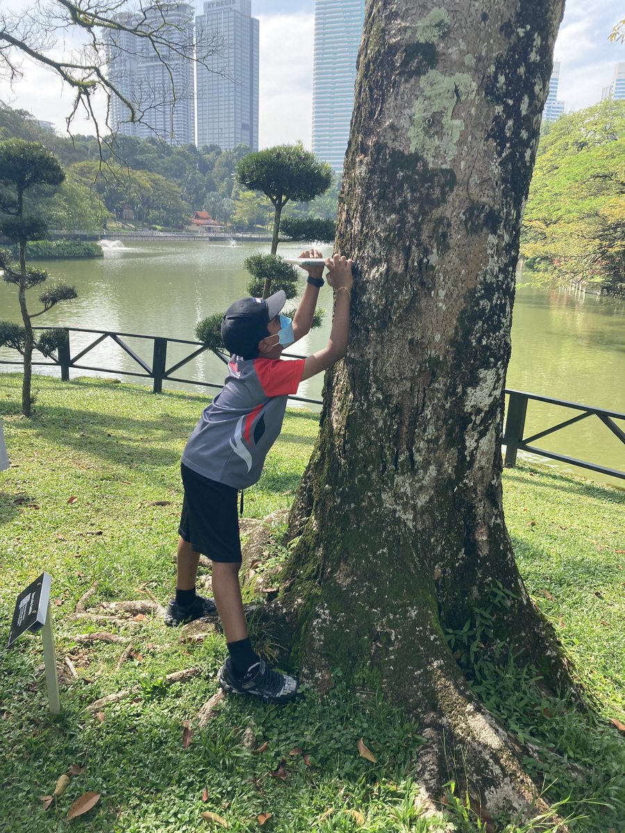 harves4556's tweet photo. Putting the principles of photography into action at the botanical gardens with G3 @IGBintschool. Plenty of birds-eye and worms-eye view photos and getting in close for detail. #pyp #esDesign #igbis #DesignLab #perspective https://t.co/B9oDD9mS0V