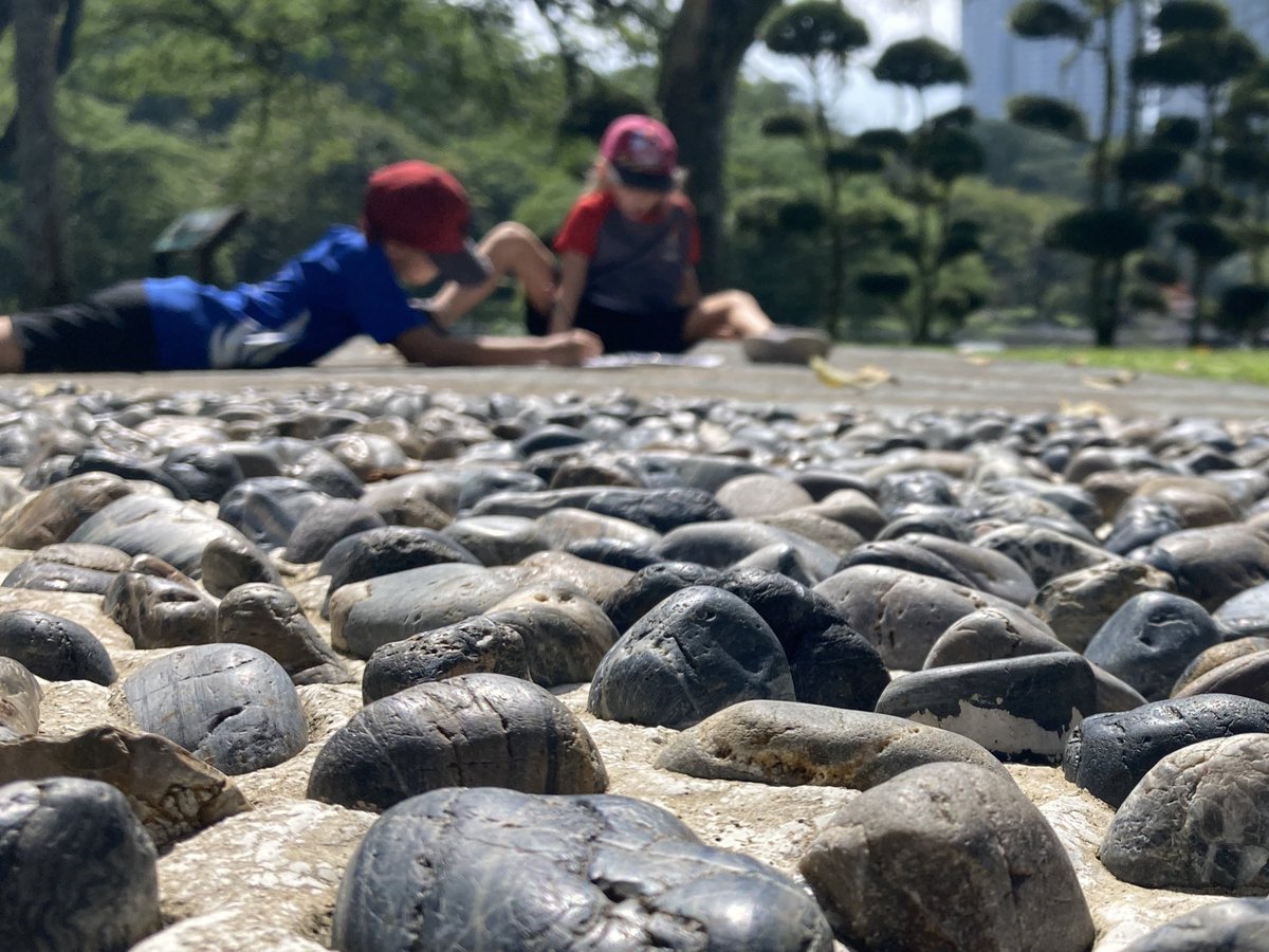 harves4556's tweet photo. Putting the principles of photography into action at the botanical gardens with G3 @IGBintschool. Plenty of birds-eye and worms-eye view photos and getting in close for detail. #pyp #esDesign #igbis #DesignLab #perspective https://t.co/B9oDD9mS0V