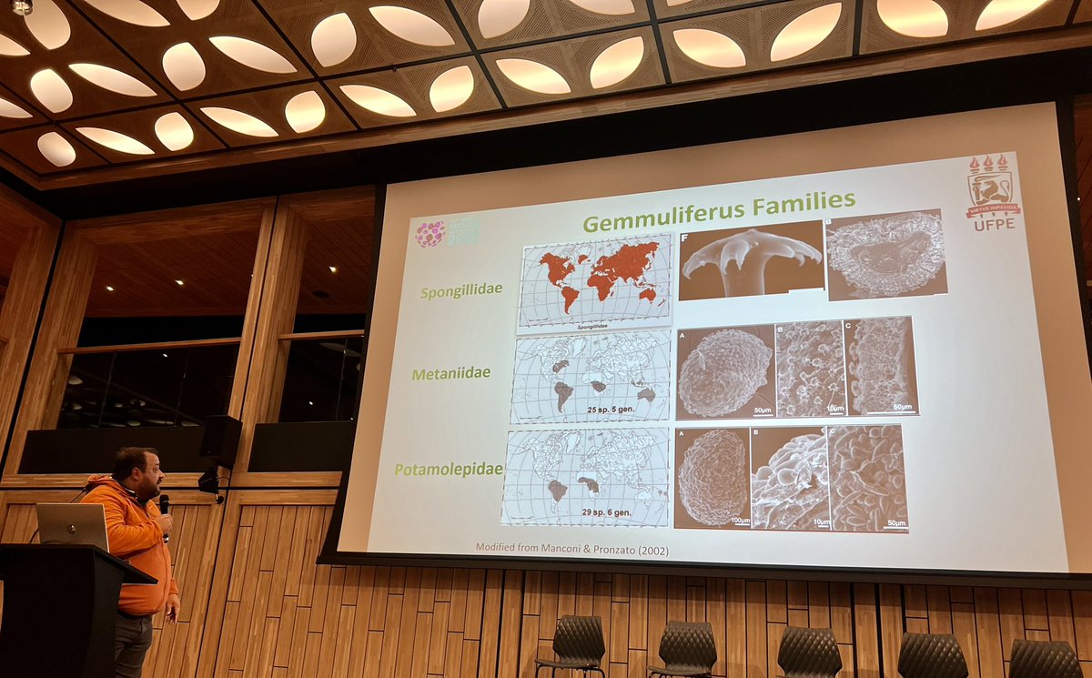 Sponge_2022 tweet media