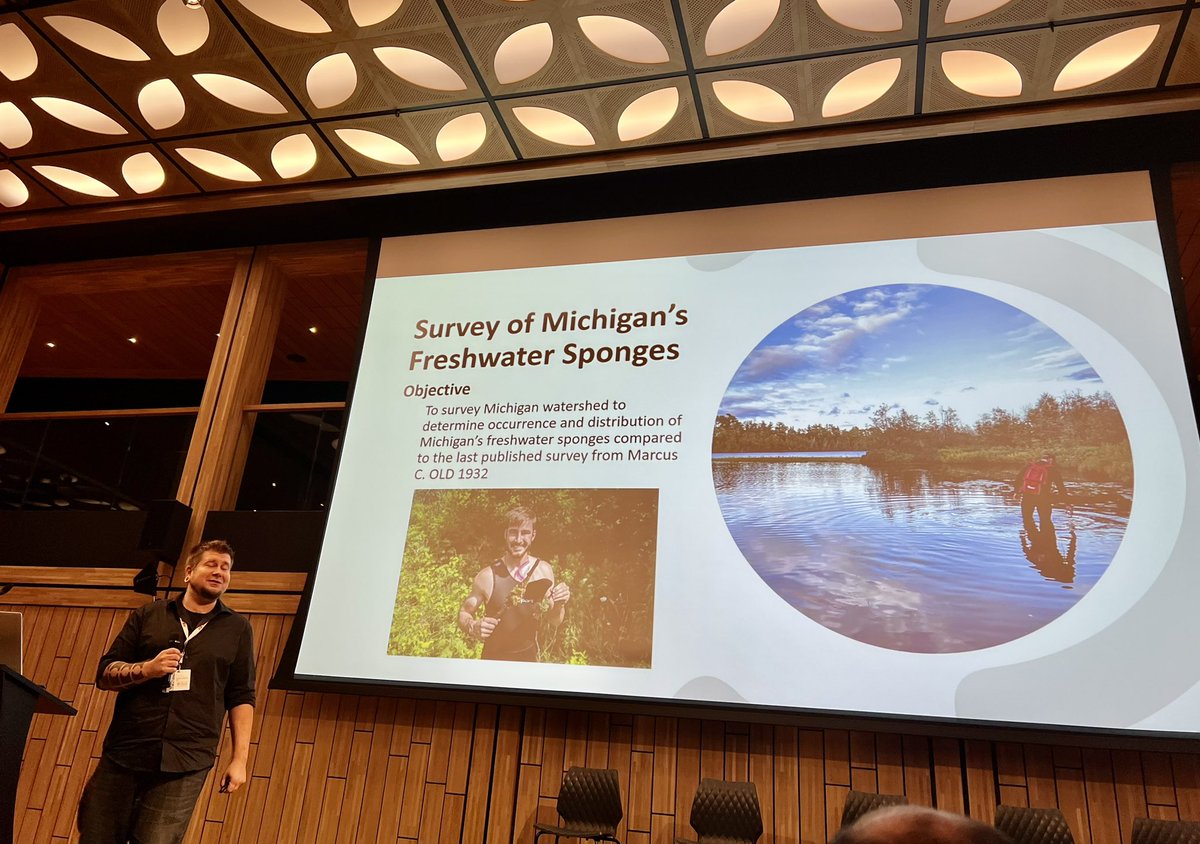 Sponge_2022 tweet media