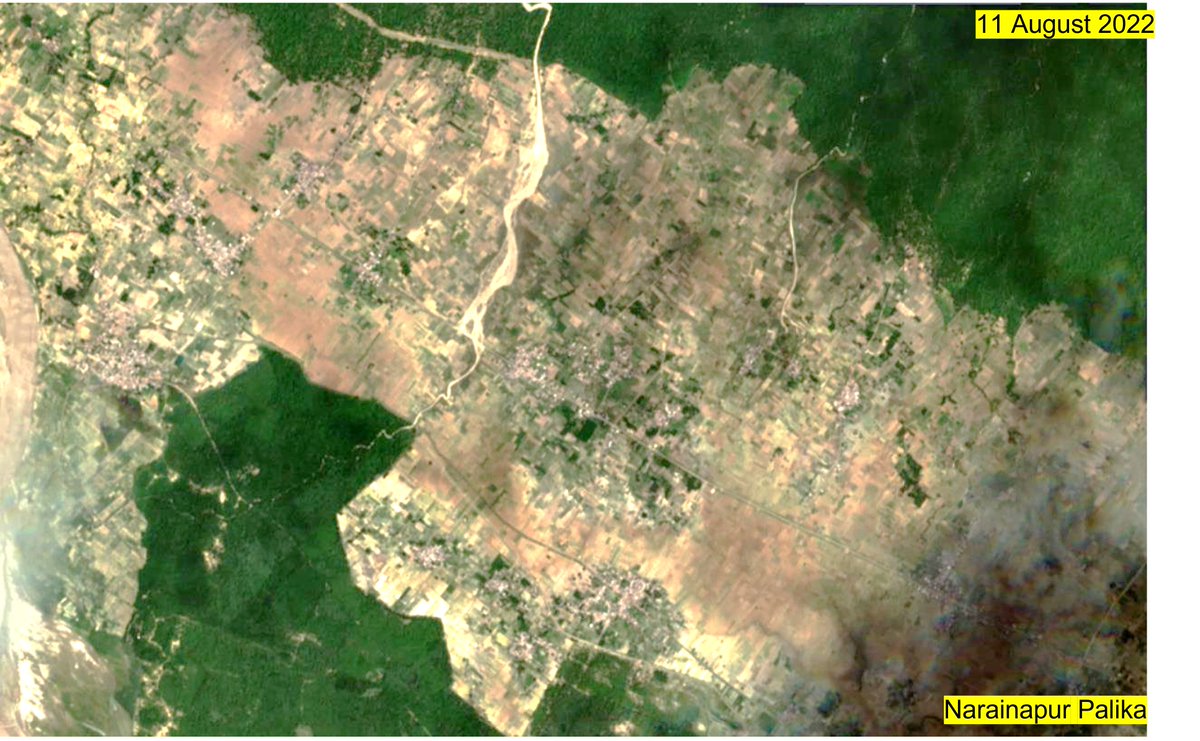 shresthanitesh7's tweet photo. #climate #extremes r real. #icimod published 🛰️image of #drought on 11 Aug and #floods of 7 Oct of 2022 monsoon r evident @WFP_Nepal under #forecastbasedfinancing is delivering #cash assistance to most #vulnerables @icimod @DHM_FloodEWS @narainapur_rmun @GermanyDiplo #NRCSBanke https://t.co/5wIZH9g7QX