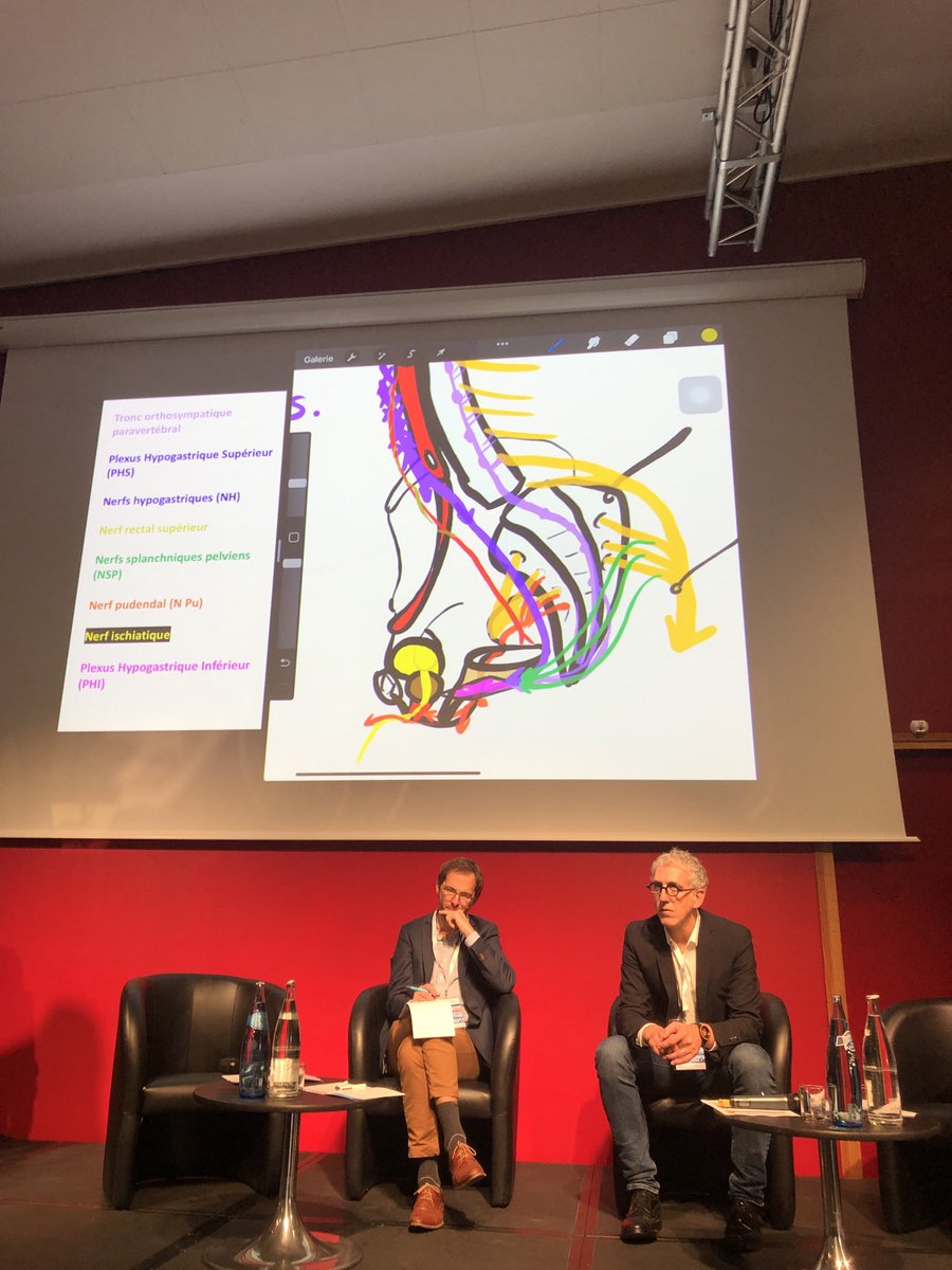 Innervation pelvienne pédagogie 2.0 ⁦@FocusMeeting⁩ ⁦@PignotG⁩ ⁦@GPloussard⁩ ⁦@jbbeauval⁩ ⁦@PaulSargos⁩ @bessedethomas