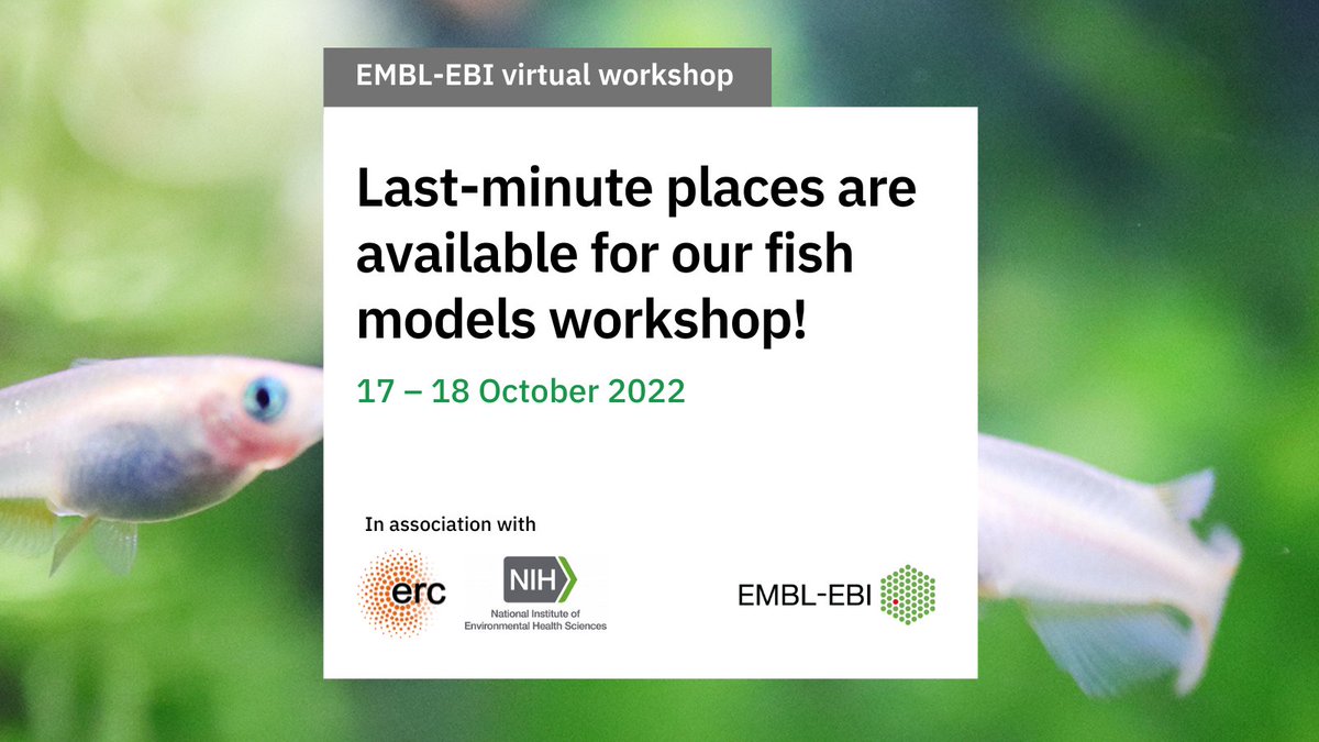 🐟We have a few last-minute places on offer for our free, virtual #medaka #fishmodels workshop next week!

🔗Secure your place now: ebi.ac.uk/training/event…

🤔Already registered? Your access links will be available on the course website by 7:00 BST on Monday 17 October.