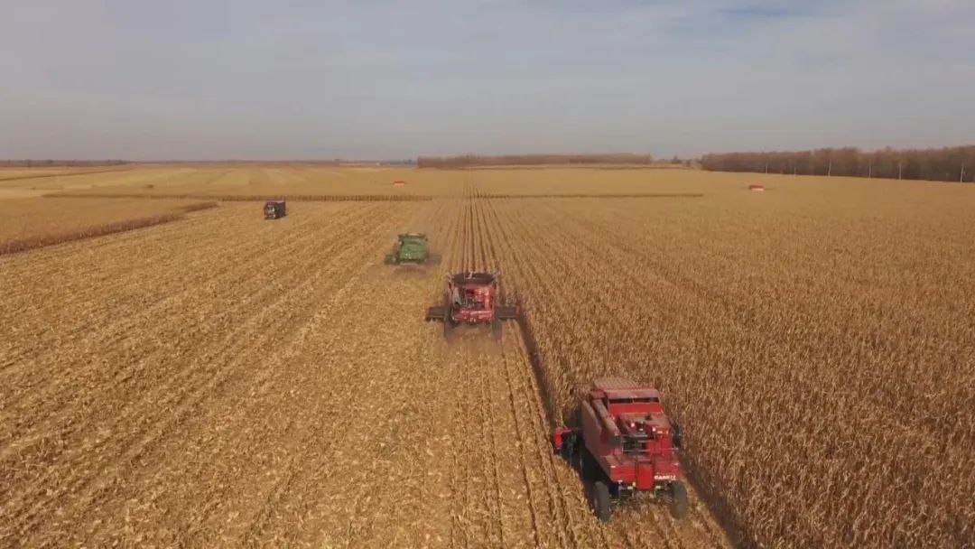 JilinChina's tweet photo. πΎ#Jilin province is an important commercial #grain production base in China that has made significant contributions to national #food security, with seven of the top 10 grain-producing counties in the nation located there. #JilinDynamicDecade https://t.co/LLsXh3fMt8