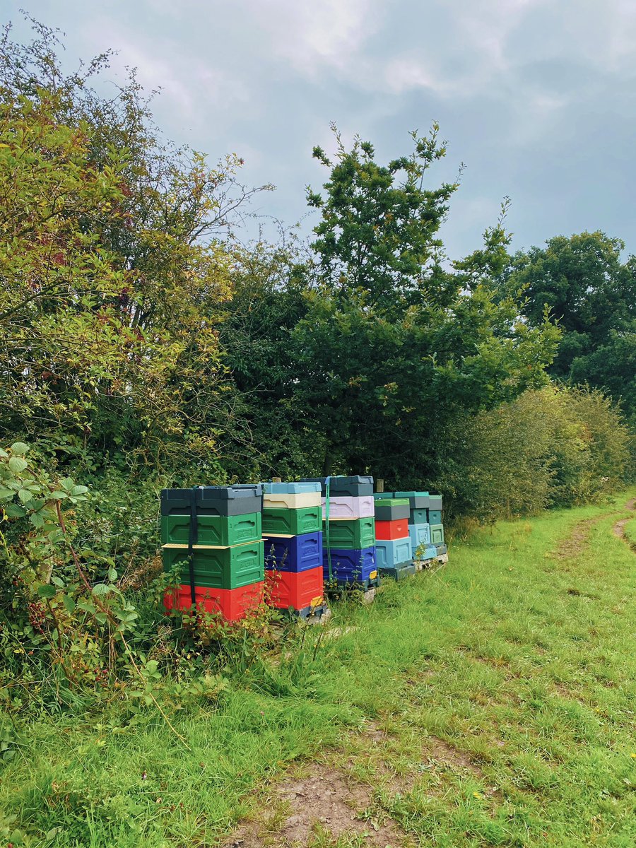 HopewallD's tweet photo. Large Free Range Eggs and Happy Valley Honey available for delivery from next week. 
Please email jon@hopewallfarm.co.uk to either add to your standing or order as and when.#Macclesfield #bollington #poynton #bramhall #marple #highlane #prestbury #adlington https://t.co/AoyDlne4Dy