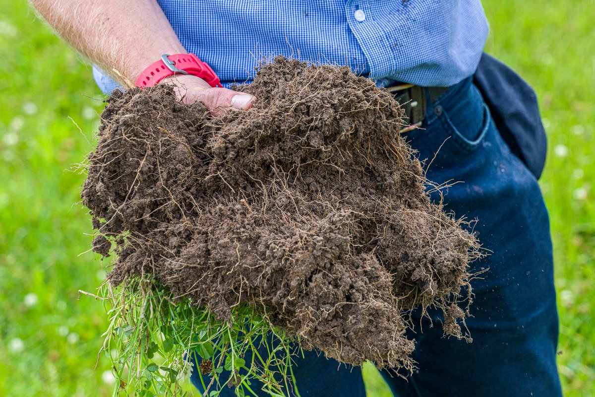 How to improve soil health before a spring 2023 reseed... Summer showed we can’t always rely on rain, so building #soilhealth is key to future resilience for #grassland #farmers. Read: germinal.co.uk/how-to-improve… #farming #agriculture #agricultural #drought