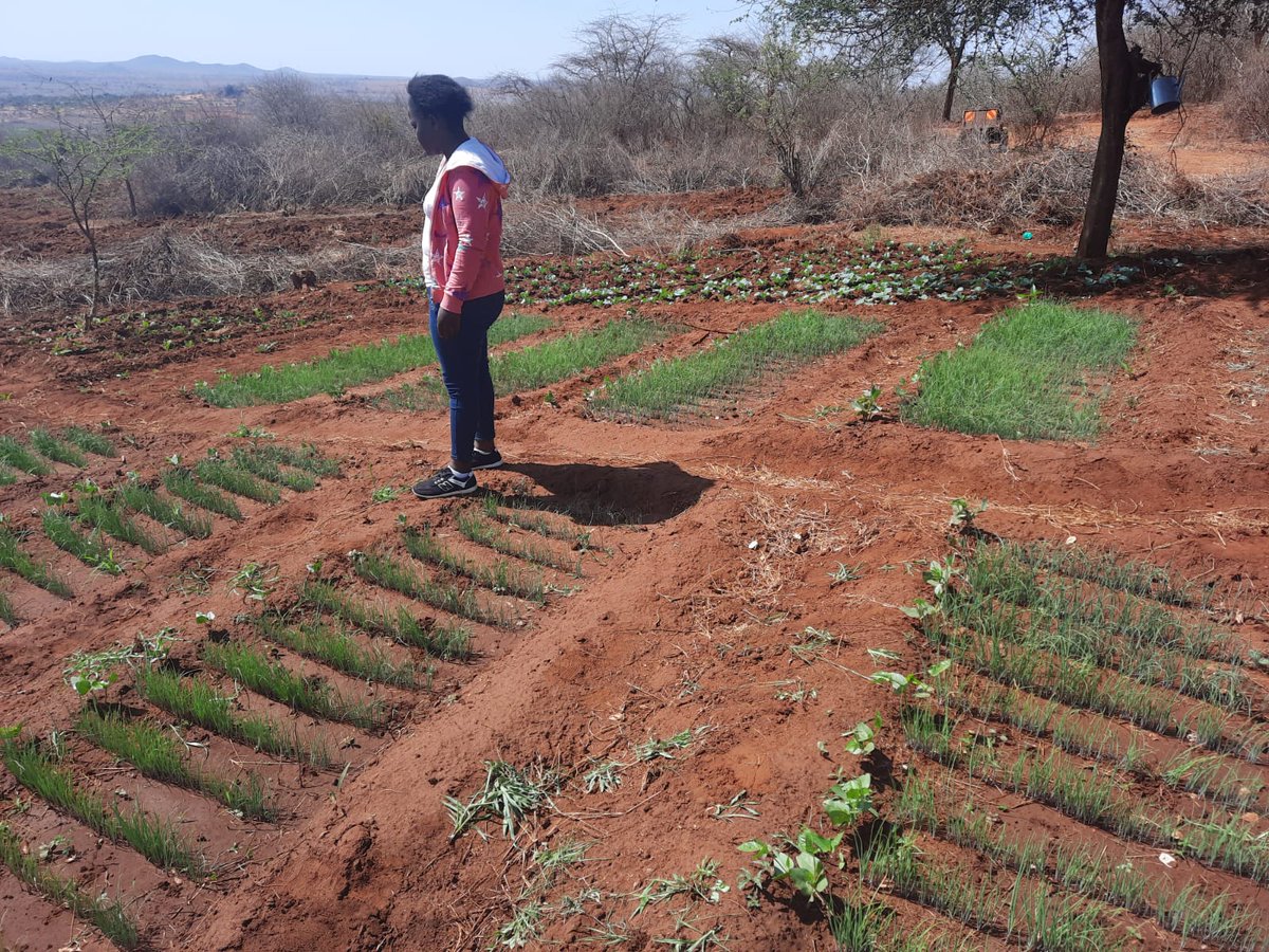 Cathy Cole Ltd tweet media