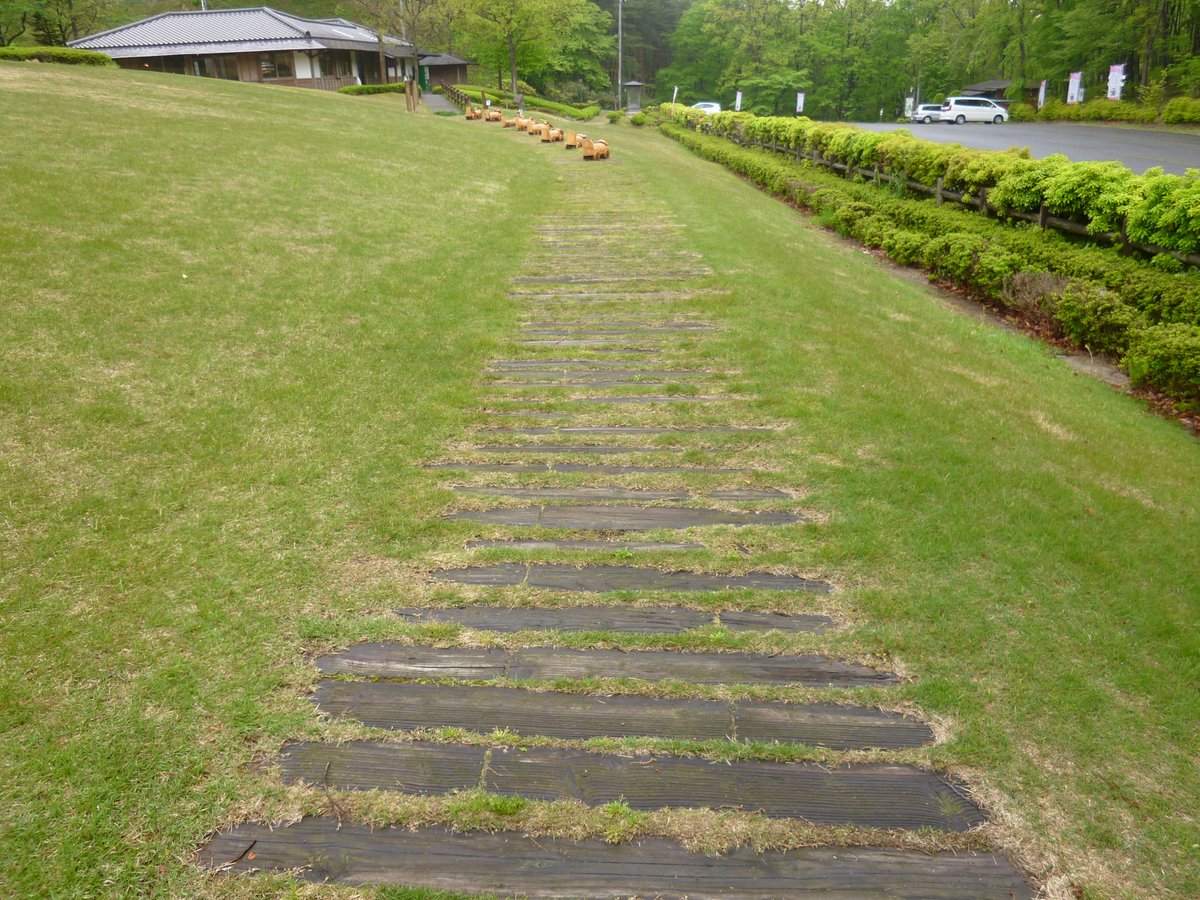 StechWood's tweet photo. 30年以上前に設置したエステックウッドの枕木。現在も使用されており、耐久性の高さを実証しています。

エステックウッドのホームページ施工事例はこちら
　　　　　　　　　↓
https://t.co/ftIuzgPZIm

#江間忠木材株式会社 #江間忠木材 #天然木 #国産材 #防腐 #防蟻 #宮城県 #公園 #昭和万葉の森 https://t.co/kGs8cacSO7