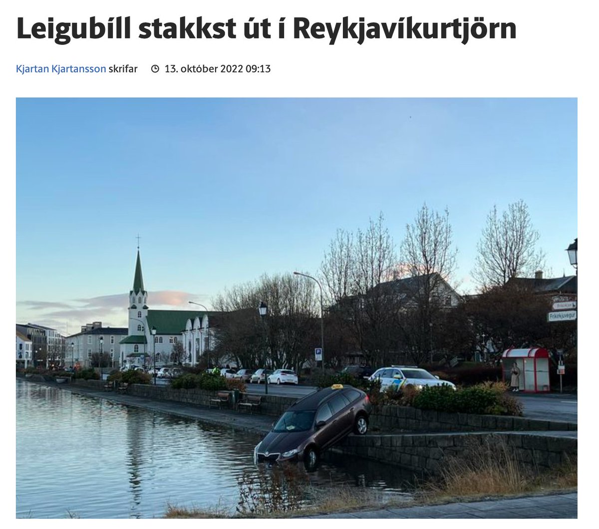 Einn að Skoda endurnar