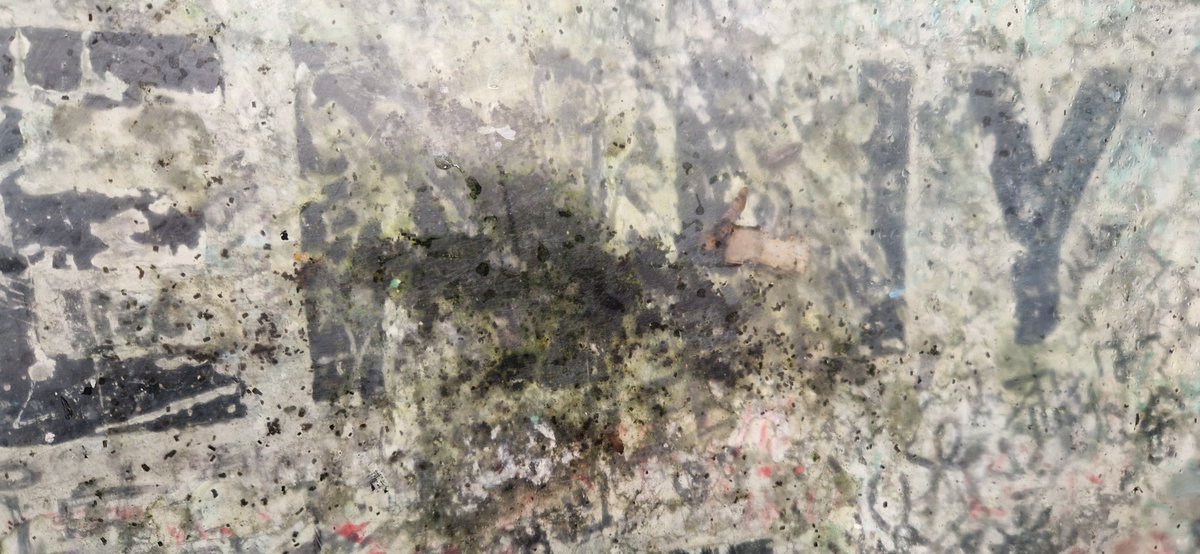 jacarandajac's tweet photo. @lpoolcouncil  please sort this out! It's now full of woodlice! https://t.co/VDEC0atjQm