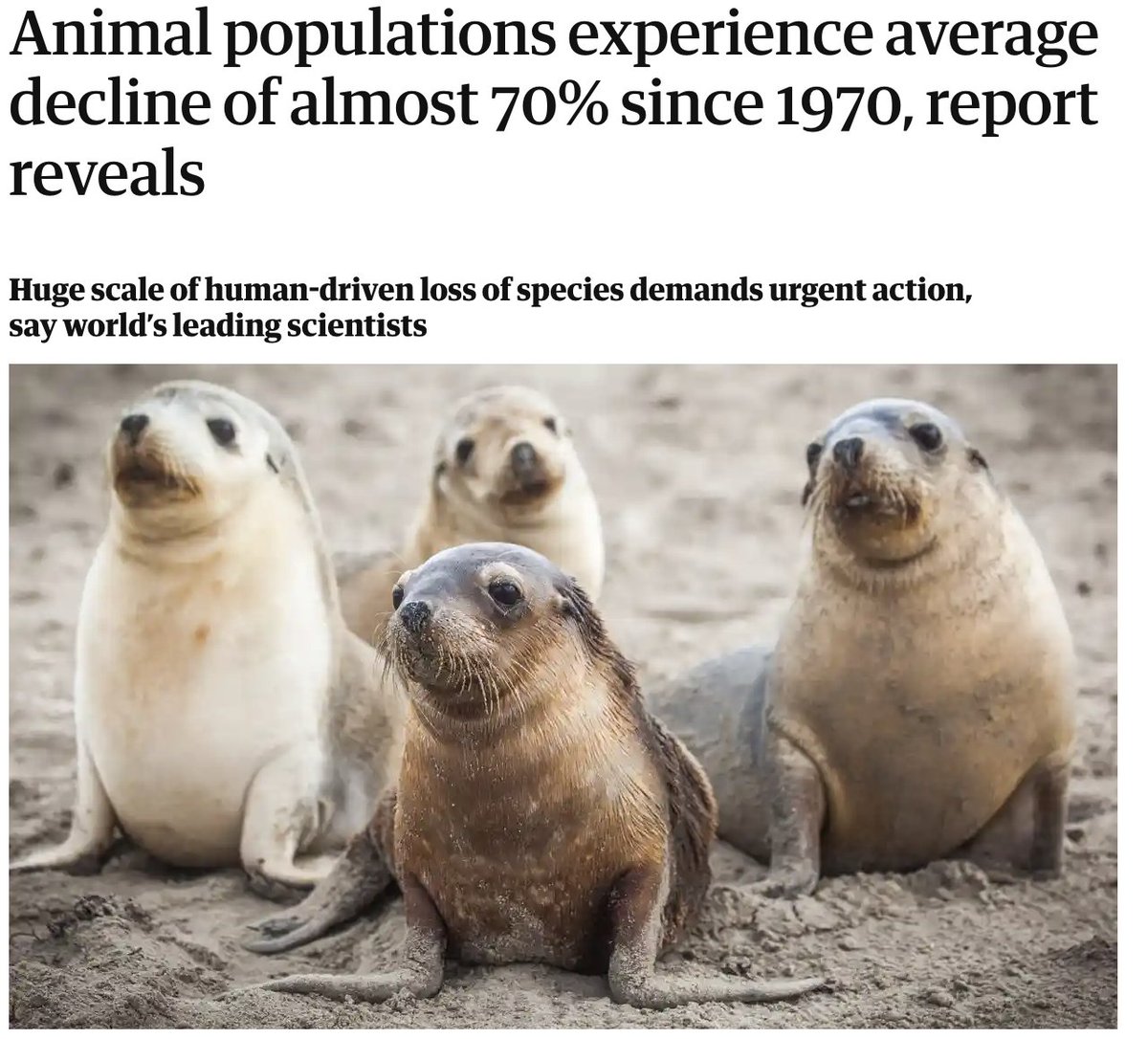 The Guardian has updated its headline. Thank you! theguardian.com/environment/20…