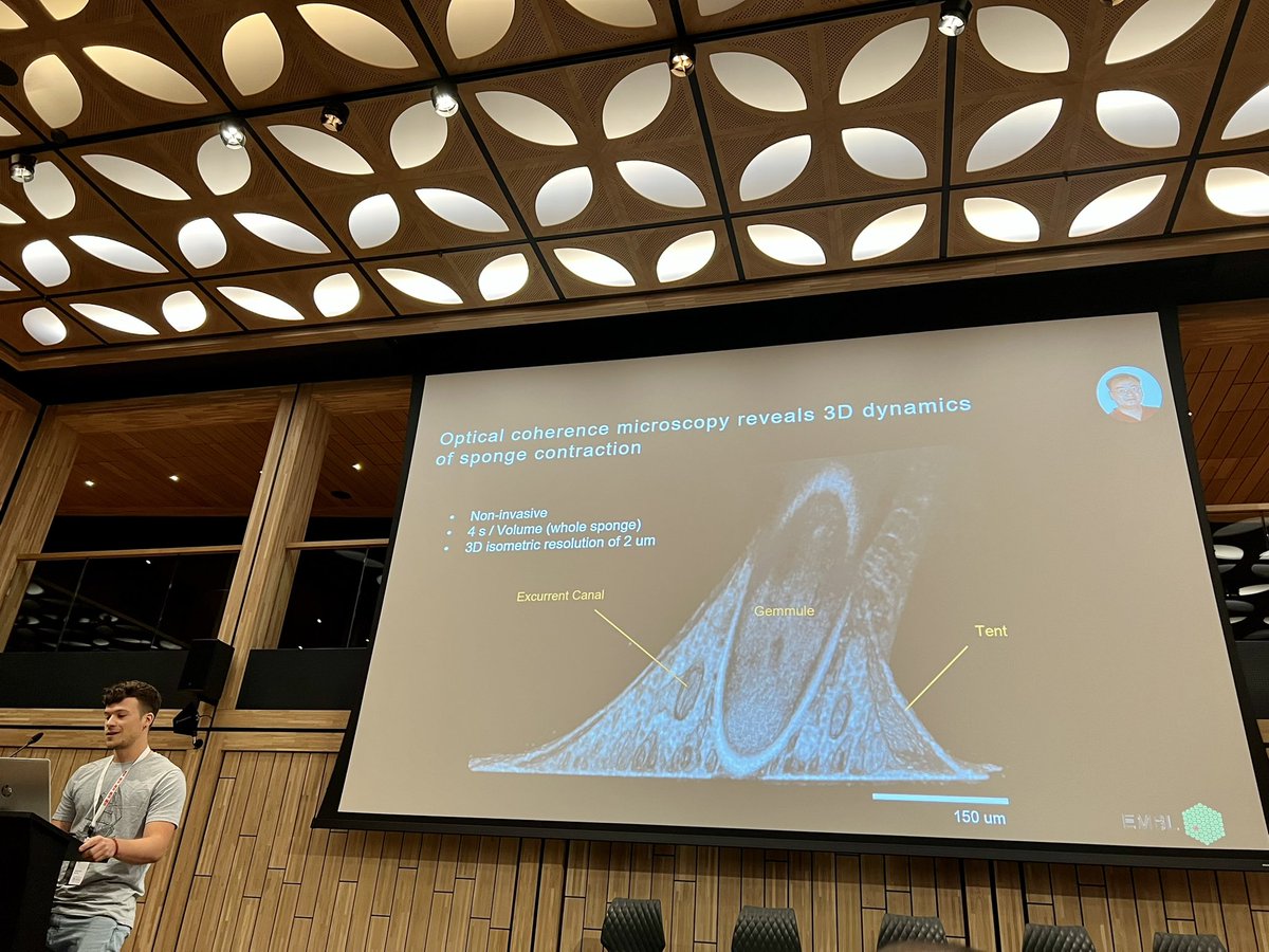 Sponge_2022 tweet media