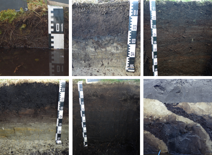 ThuenenPeat's tweet photo. #Peatlands and other organic soils store a lot of #carbon, but their #soil properties are very heterogenous. We are looking for a soil scientist to improve the parameterisation of a map of organic soils.  
👉 https://t.co/qmsnpxrjDS

#Moorbodenmonitoring
#PeatlandsMatter https://t.co/SWGzemwGK9