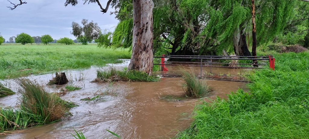 Yankee_Liz's tweet photo. When it rains… it floods.  #benalla #vicfloods #FarmerAU https://t.co/CgxSAiNm8u