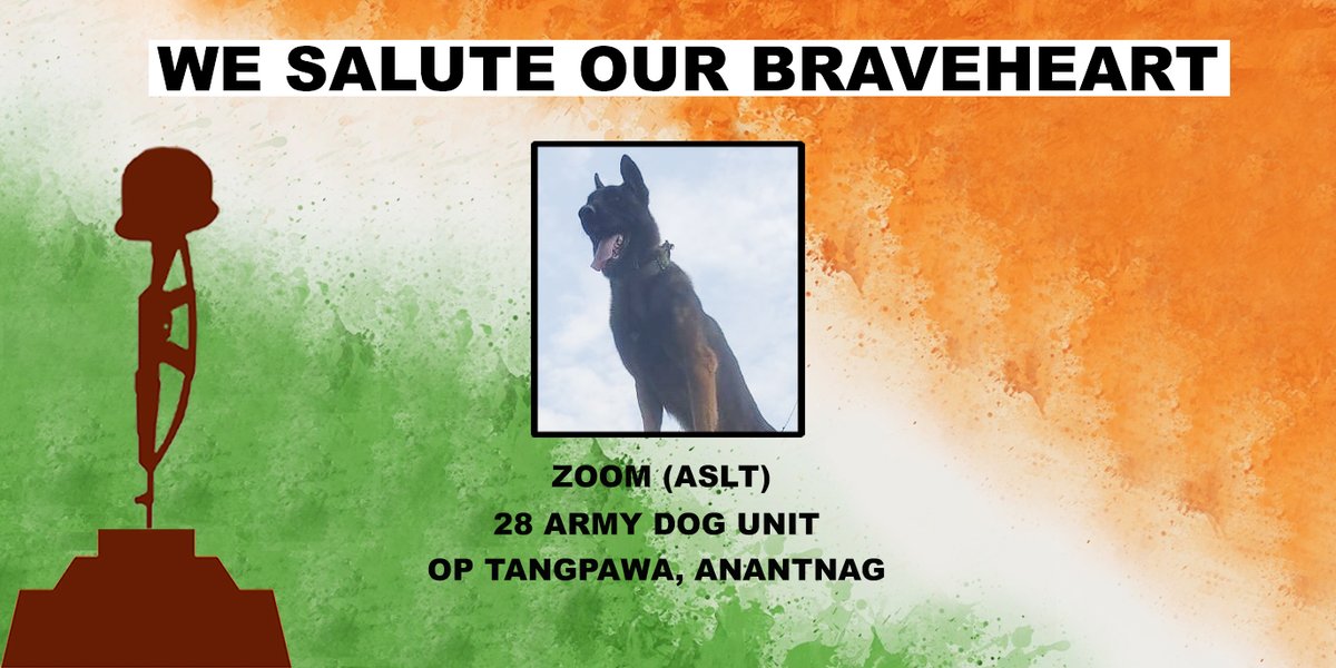 ChinarcorpsIA's tweet photo. Army Assault Canine 'Zoom' laid down his life in the line of duty. He suffered gunshot wounds during Op Tangpawa on 09 Oct 22 where he fought gallantly with terrorists, saving lives of soldiers. His selfless commitment and service to the Nation will be remembered forever. https://t.co/R6i7Cv5WG5