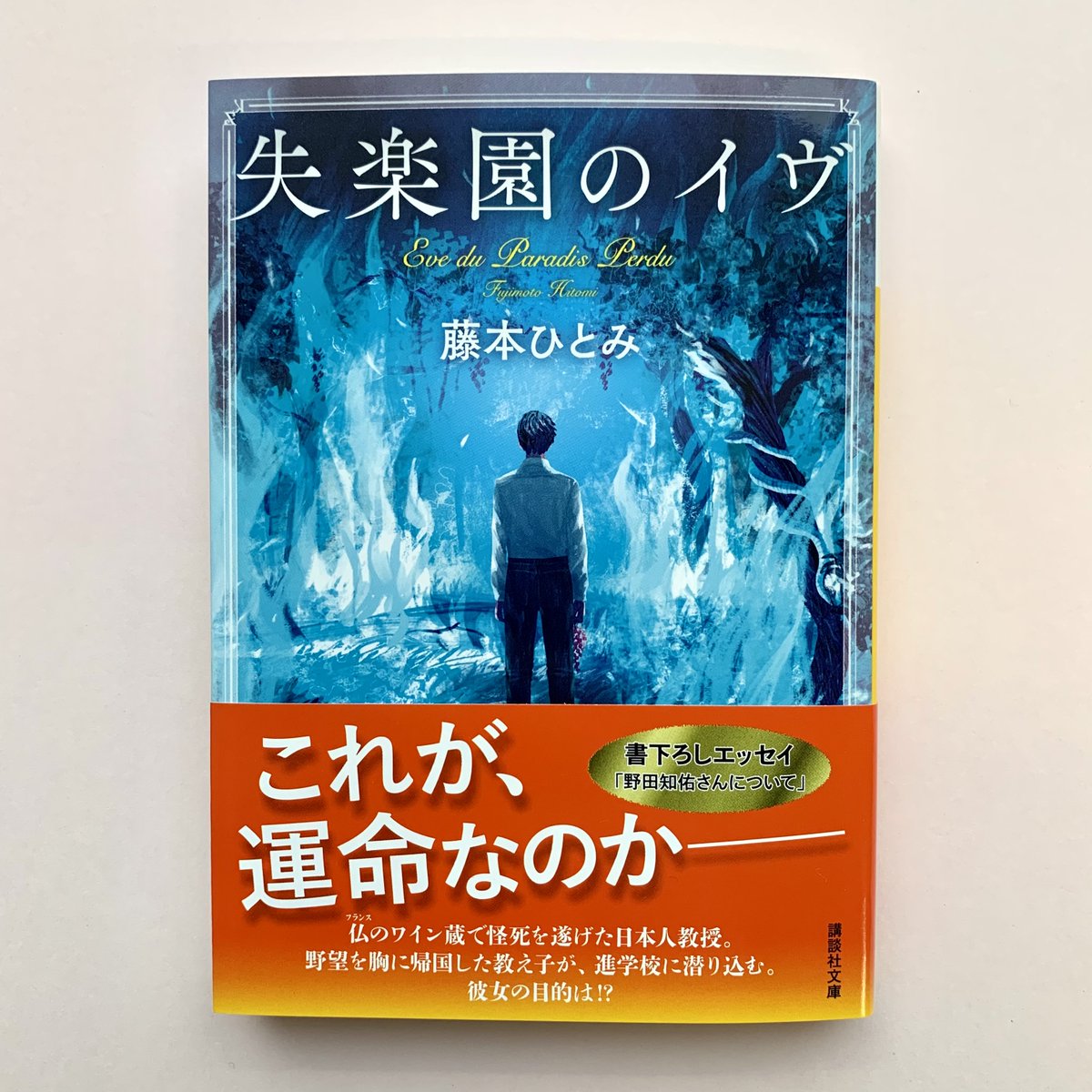 藤本ひとみ先生情報 Sweetrosebook Twitter 藤本ひとみ先生情報 Sweetrosebook Twitter
