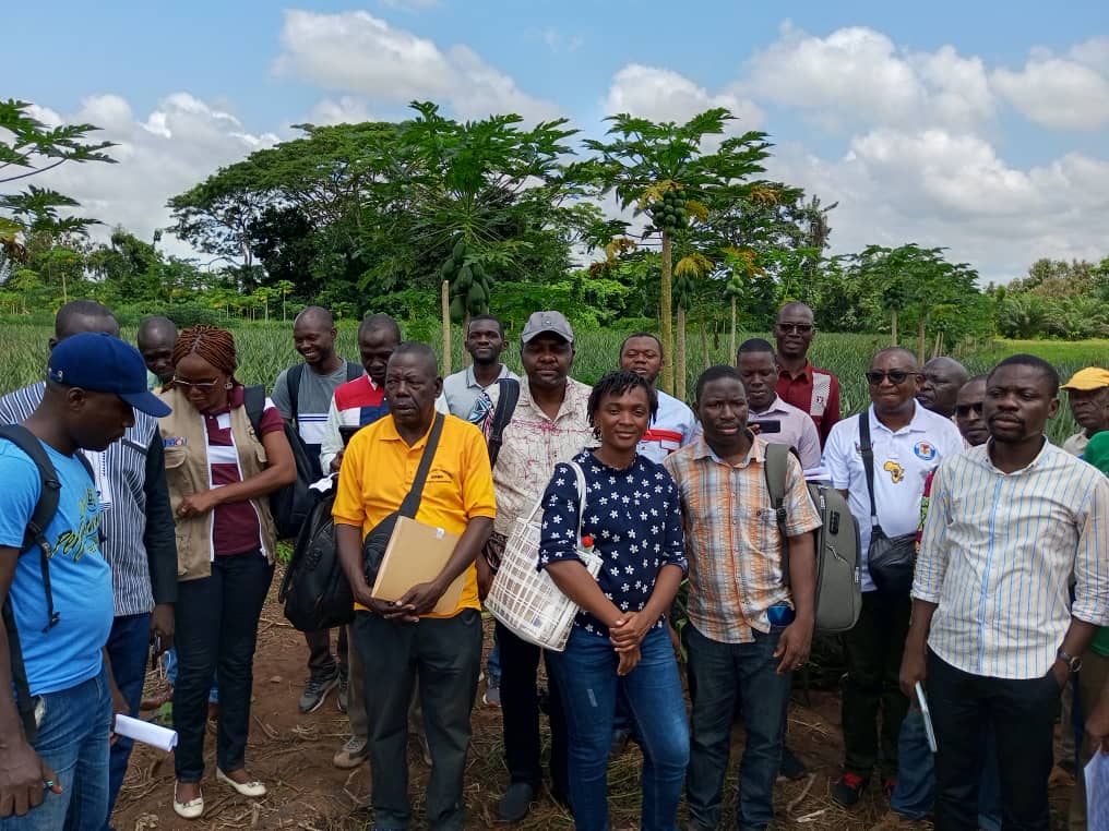 acedafrica's tweet photo. ✅ Visite d'échanges au Bénin des cadres du développement rural de la République Centrafricaine (RCA) du 4 au 12 octobre, en vue d’un renforcement de capacités sur les dispositifs d’appui-conseil agricole
Pour en savoir plus : https://t.co/sAdZwOVJan
#DEVRURII
#DeveloppementRural https://t.co/J1NLk2pzLK