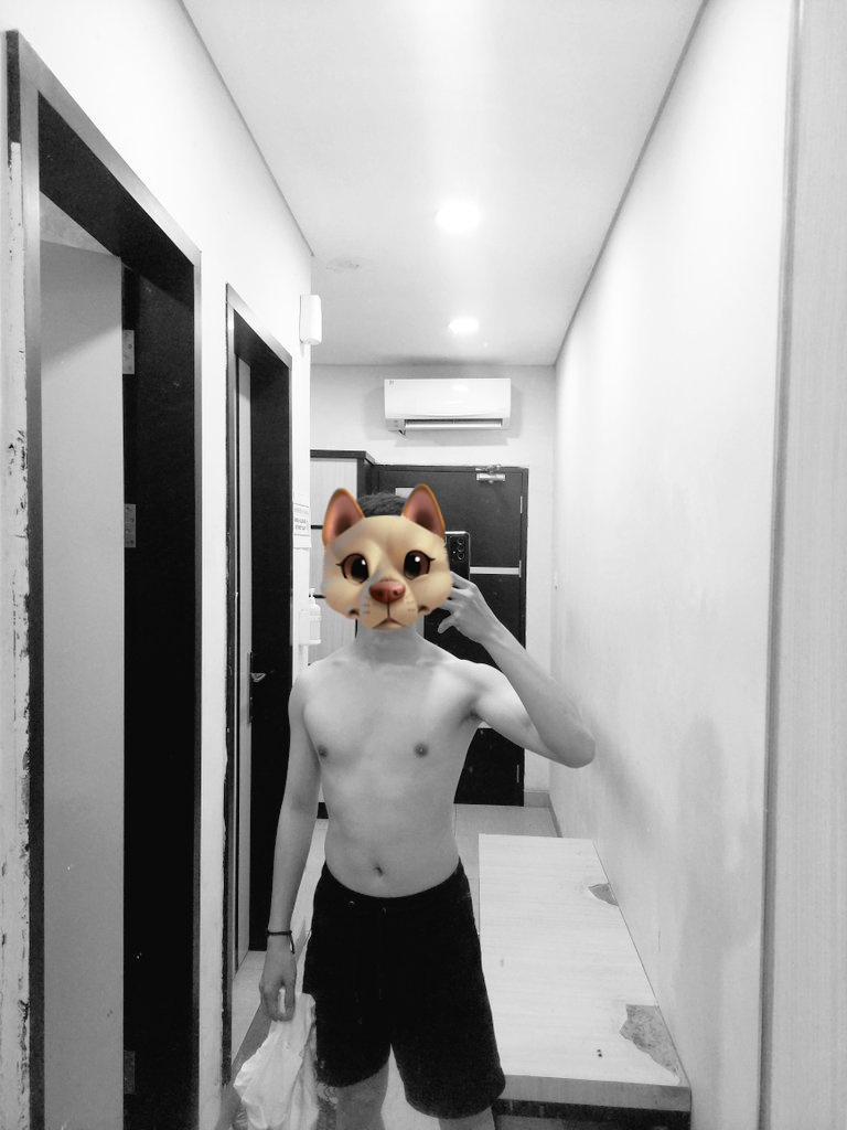 Cutypie (@dandandanielel) / Posts / X