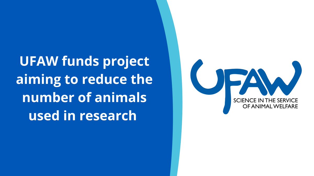 SciFAW_1926's tweet photo. The UFAW Animal Welfare Research Award has been awarded to a project that will assess how well 3D culture models based on human stem cells can replace animal experiments for drug testing in neuroscience.

Find out more: https://t.co/05XMkJN7lW https://t.co/dmOQYXAHQ7