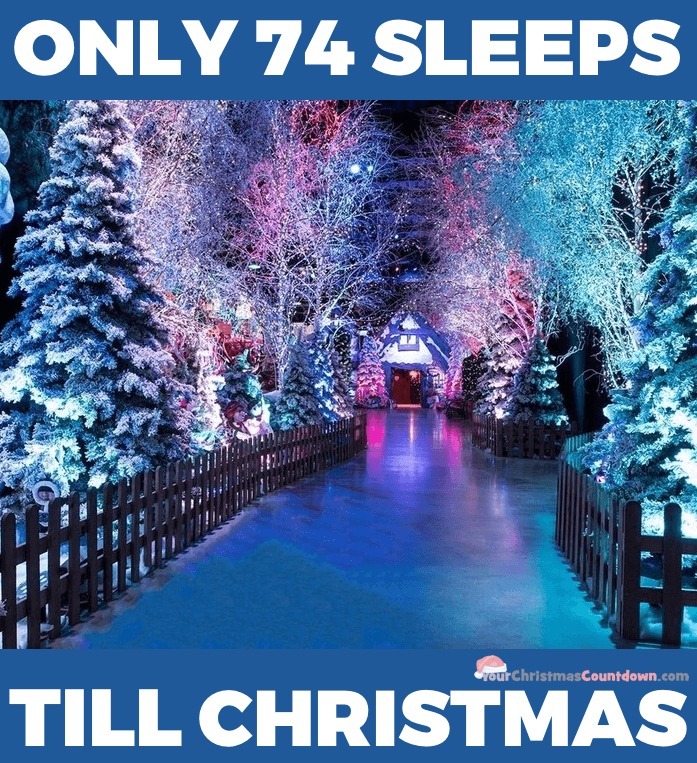 kdrobertswrites's tweet photo. #Christmas2022 #itsbeginningtolooklikechristmas https://t.co/JRyTVPxyIj