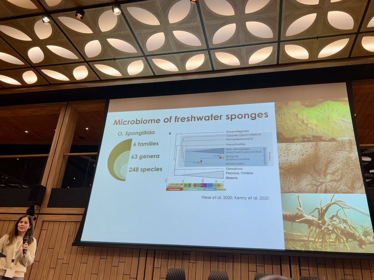 Sponge_2022 tweet media