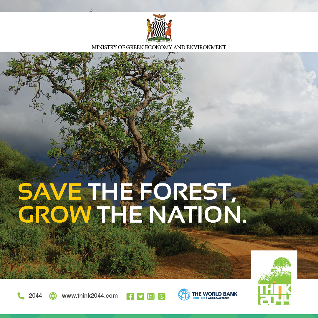 think2044's tweet photo. Beyond improving life at community level, saving forests also
means building the nation as a whole, providing clean air, food, energy and construction materials as well as investment opportunities.
#Think2044 #ActNowSaveTomorrow https://t.co/RYZHbSbKIY
