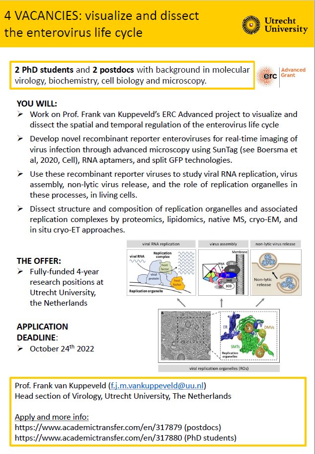 Utrecht Virology Lab tweet media