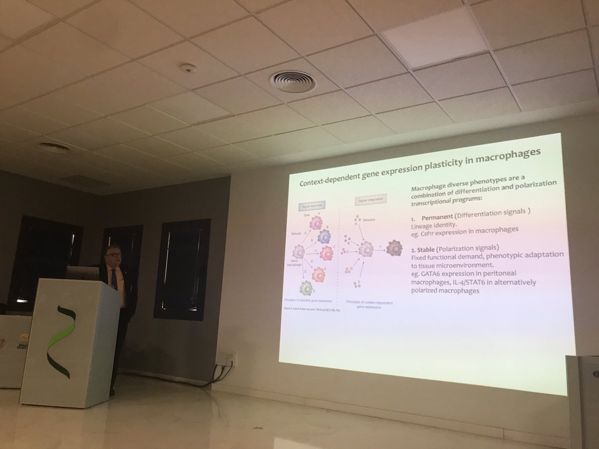 Prof Inés Pineda-Torra 🇪🇺🇪🇸🇺🇦 tweet media