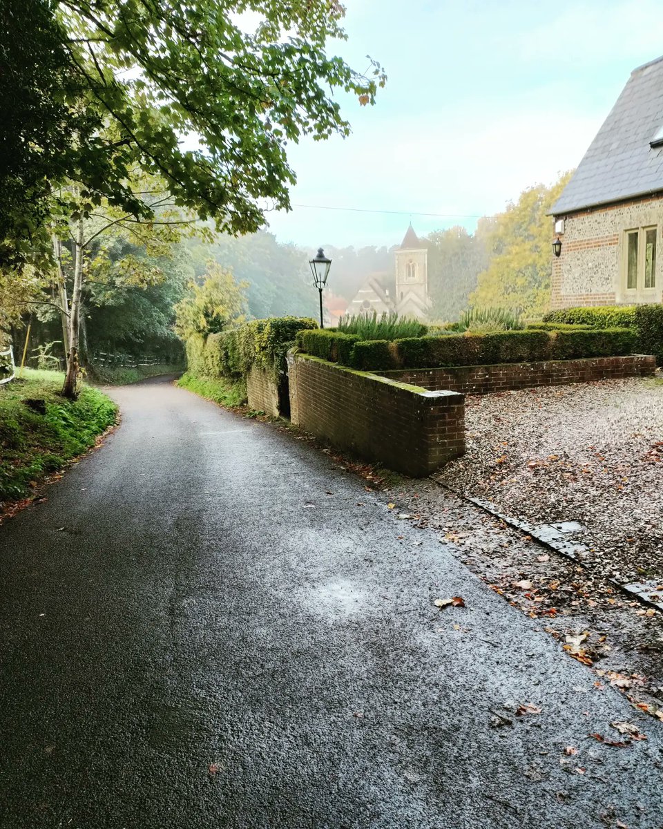 bitsofbtanicals's tweet photo. Took a misty walk this morning through my favourite trail. So beautiful; autumn smells, chimneys gently smoking, soothing colours, crisp air, &amp; took carrots for the  donkeys. Stopped by the Ladywell too ☺️🍂🍁
#bitsofbotanicals #autumn #countryside #art #hygge #inspired #peaceful https://t.co/nfhQoeAar0