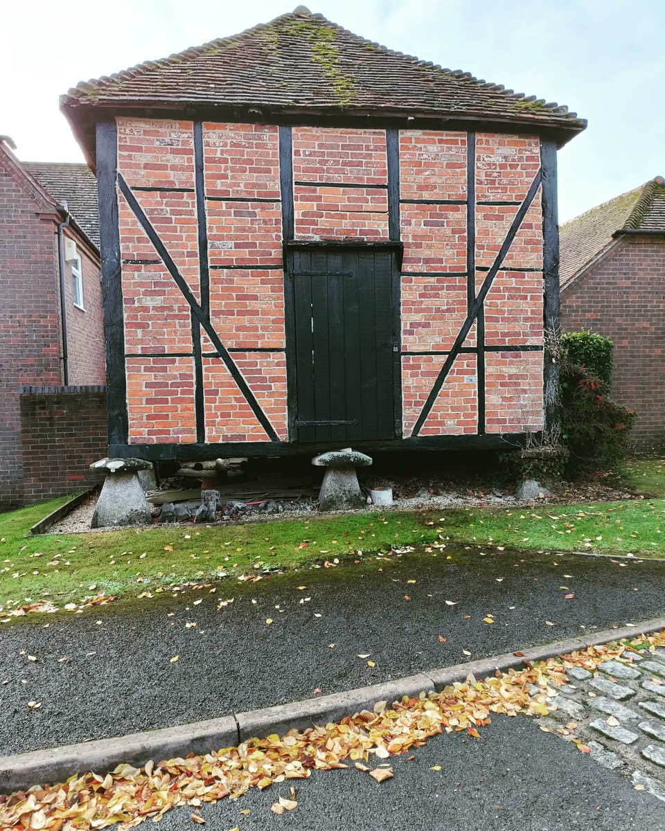 bitsofbtanicals's tweet photo. Took a misty walk this morning through my favourite trail. So beautiful; autumn smells, chimneys gently smoking, soothing colours, crisp air, &amp; took carrots for the  donkeys. Stopped by the Ladywell too ☺️🍂🍁
#bitsofbotanicals #autumn #countryside #art #hygge #inspired #peaceful https://t.co/nfhQoeAar0