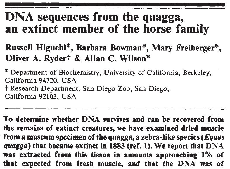 TetZoo's tweet photo. Higuchi et al.'s 1984 DNA results showed that #Quaggas are close to plains #zebras, and later studies found Quaggas nested within plains zebra; plains zebras are the same species as Quaggas, the name for which is Equus quagga Boddaert, 1785 (tree here from Caro et al. 2014) ... https://t.co/GP2p3XcBoR